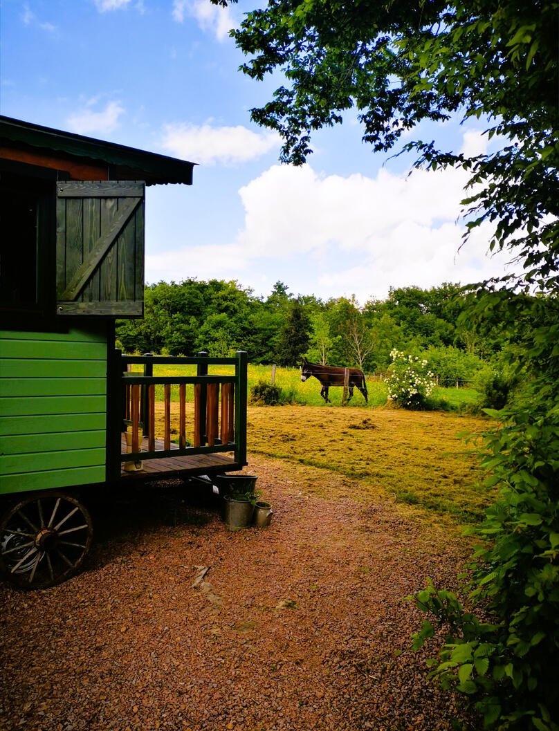 Espace terrasse à l'arrière avec fauteuils adirondack et brasero (deux autres fauteuils pliants sont à disposition)