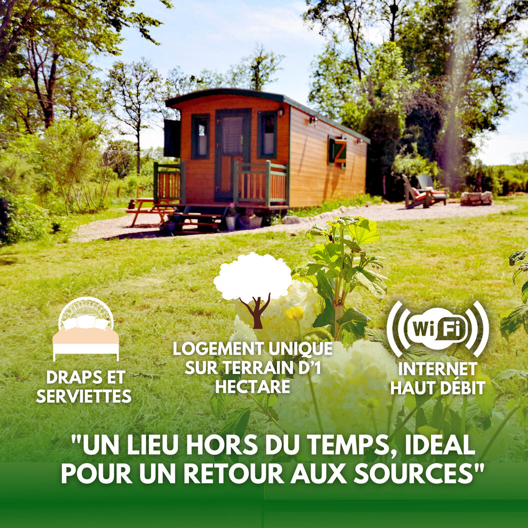 Salle d'eau : douche, lavabo, toilette sèche