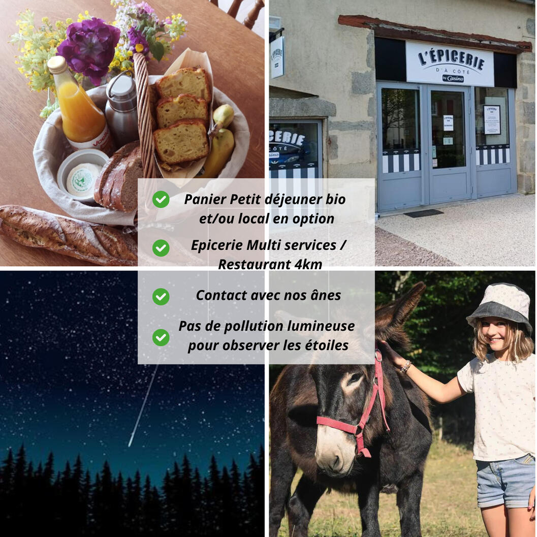 Salle d'eau : douche, lavabo, toilette sèche