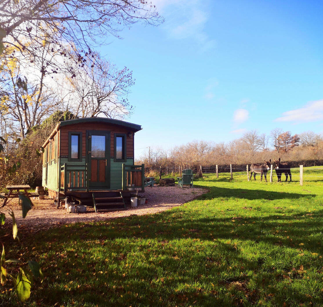 Salle d'eau : douche, lavabo, toilette sèche