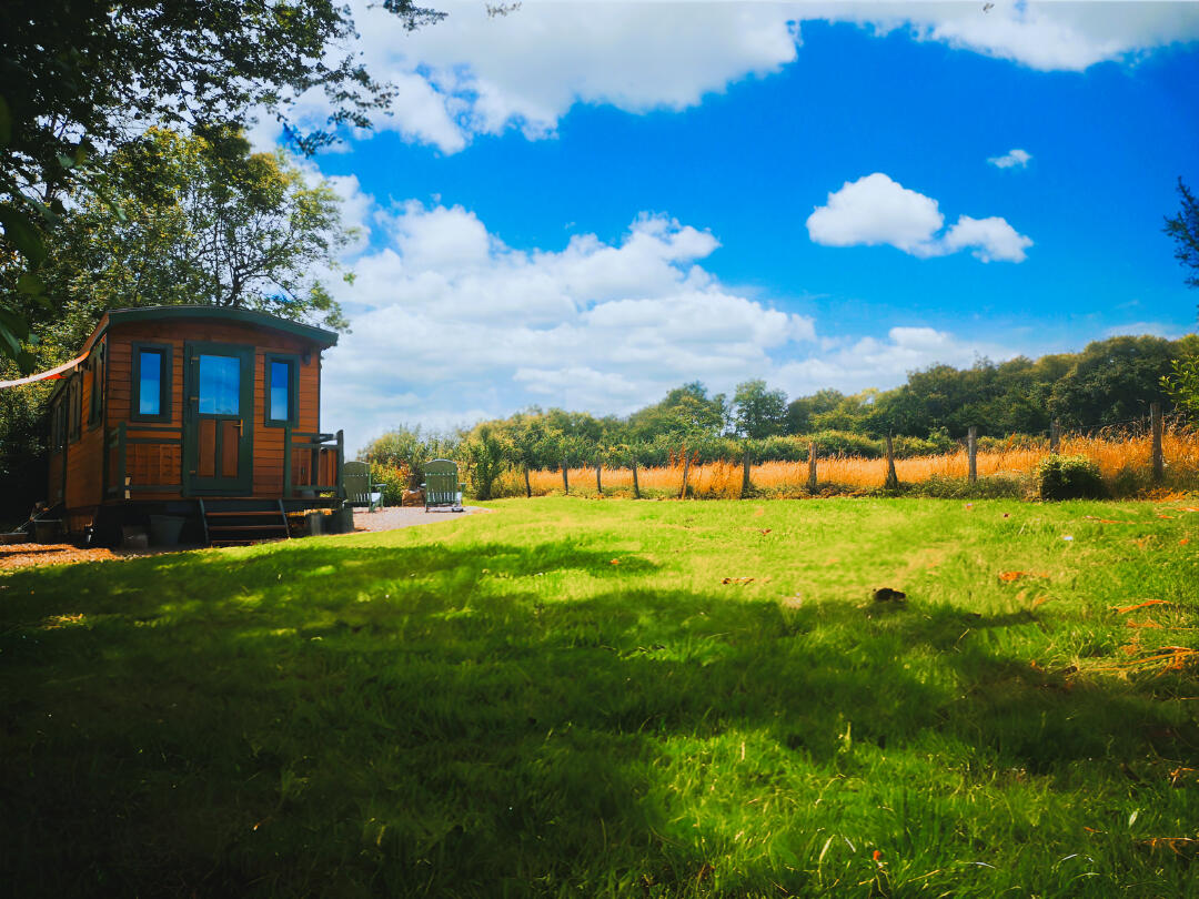 Espace terrasse à l'arrière avec fauteuils adirondack et brasero (deux autres fauteuils pliants sont à disposition)