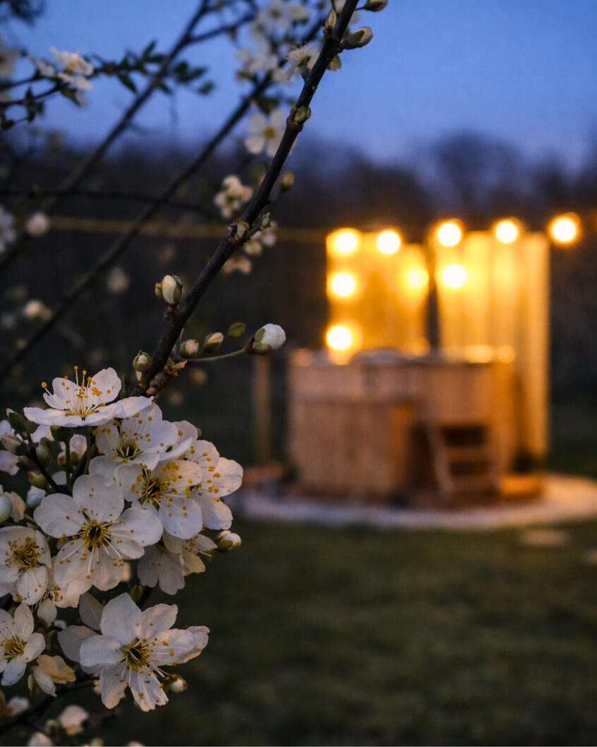Bain nordique illuminé dans une nuit de printemps roulotte Bourgogne