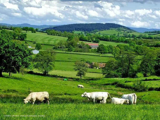 Paysage naturel du Parc du Morvan en Bourgogne